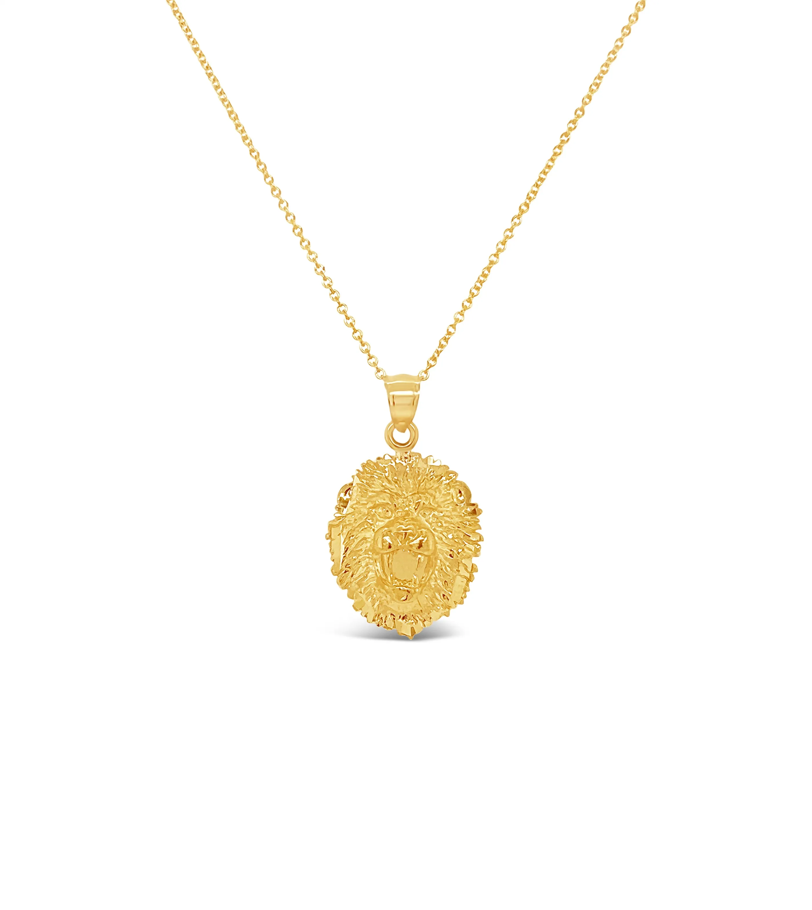 14k Gold Lion Head Charm Necklace