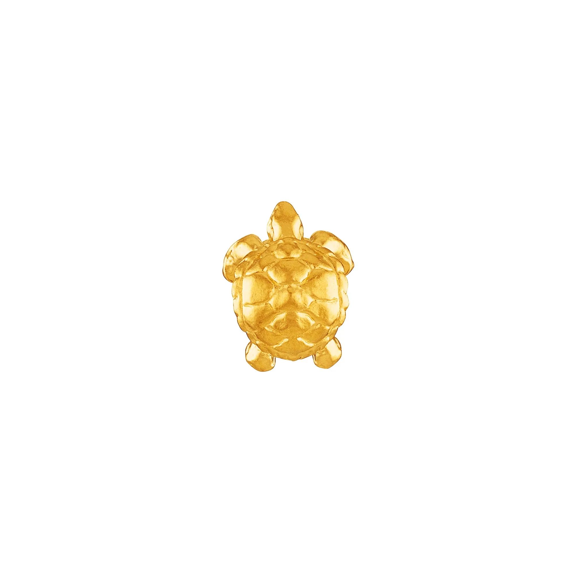 Sea Turtle Charm