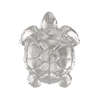 Sea Turtle Charm