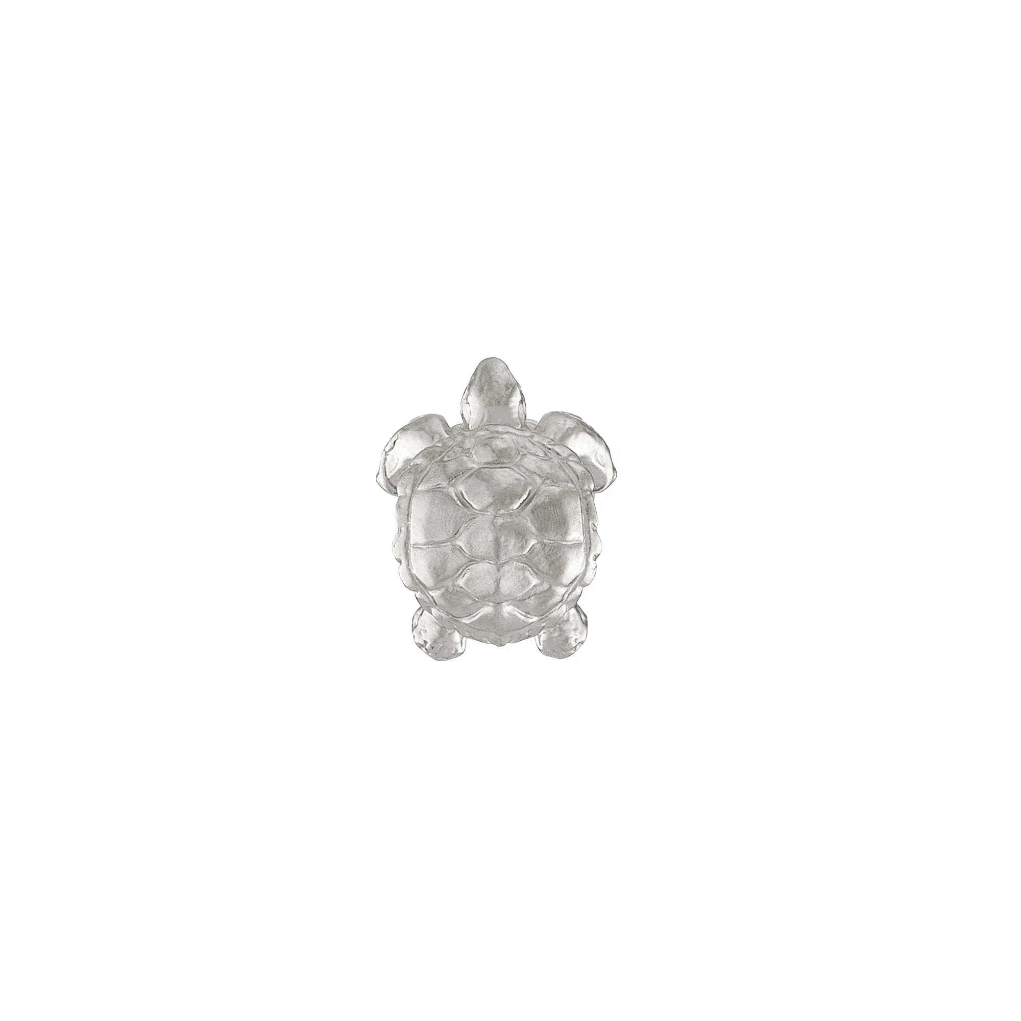Sea Turtle Charm