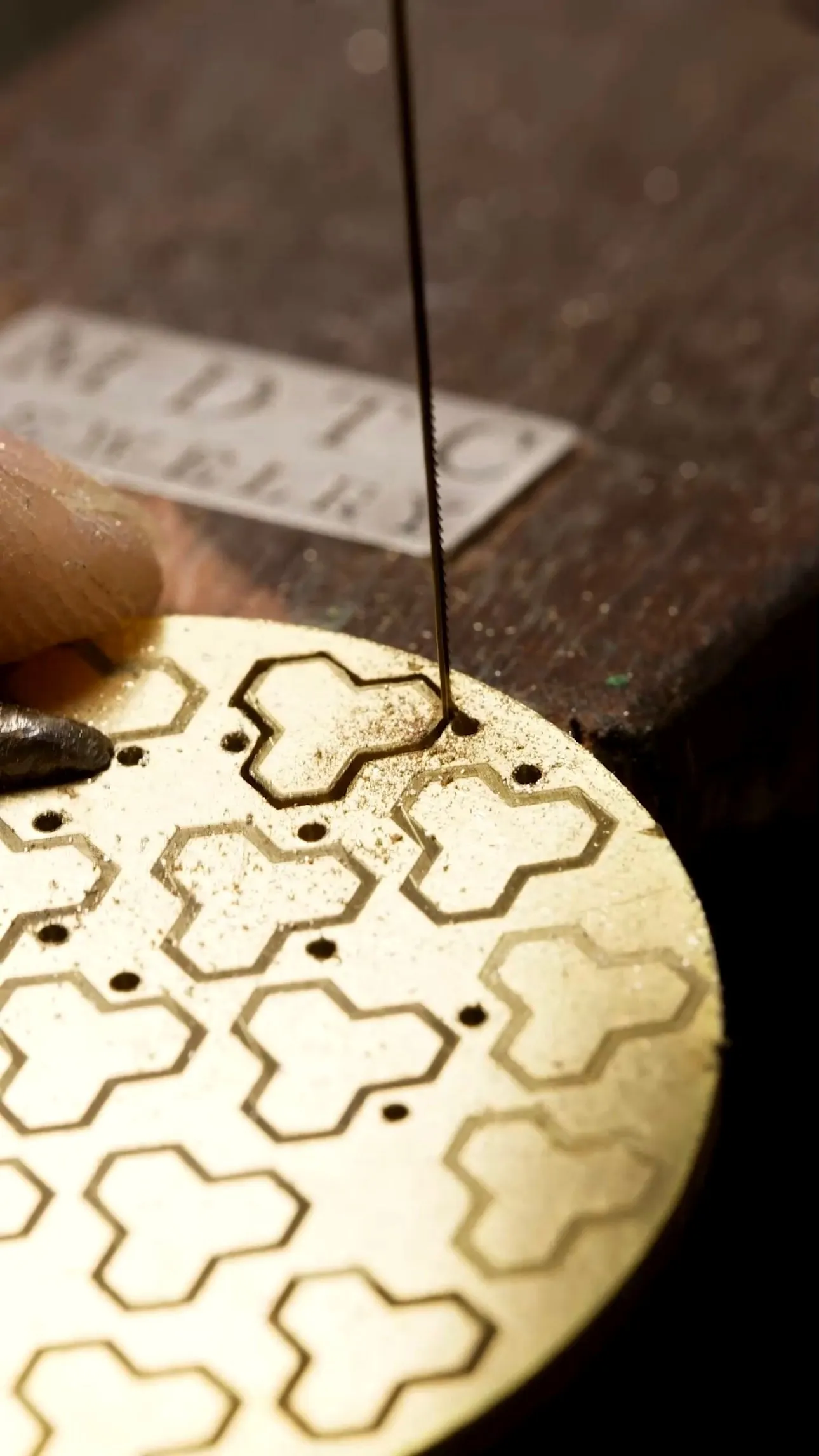 Single Armor Necklace
