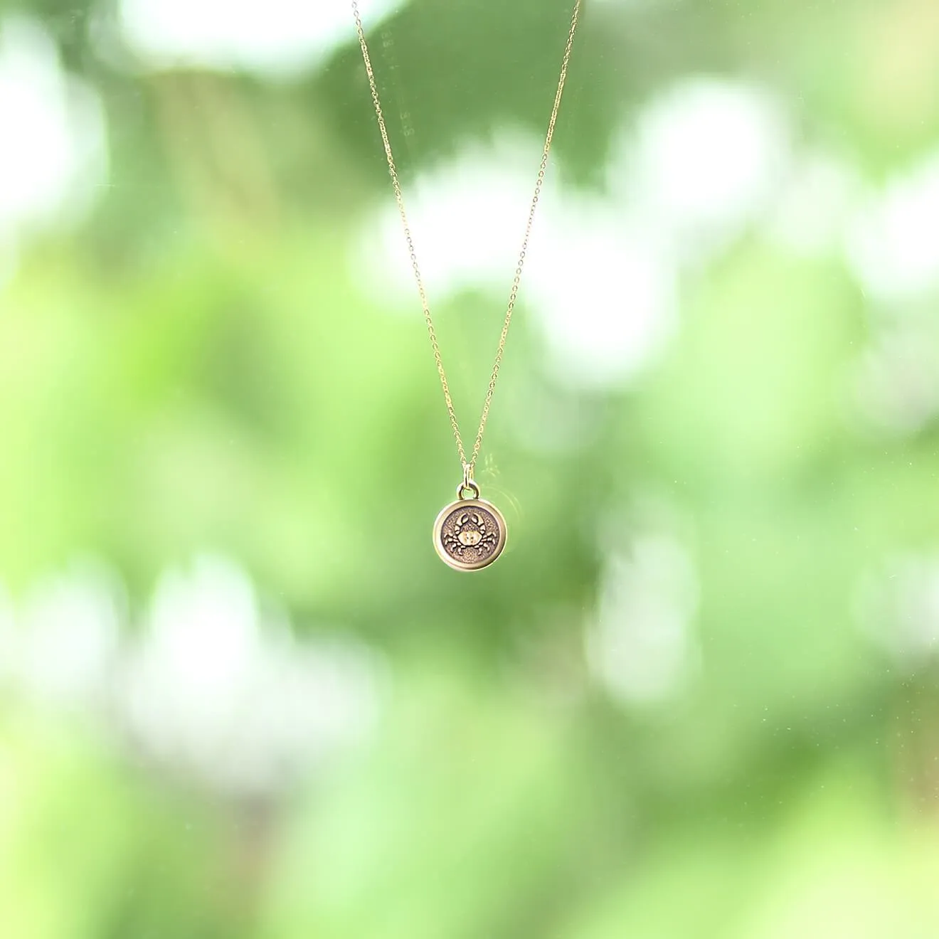 Zodiac Double-Sided Charm Necklace