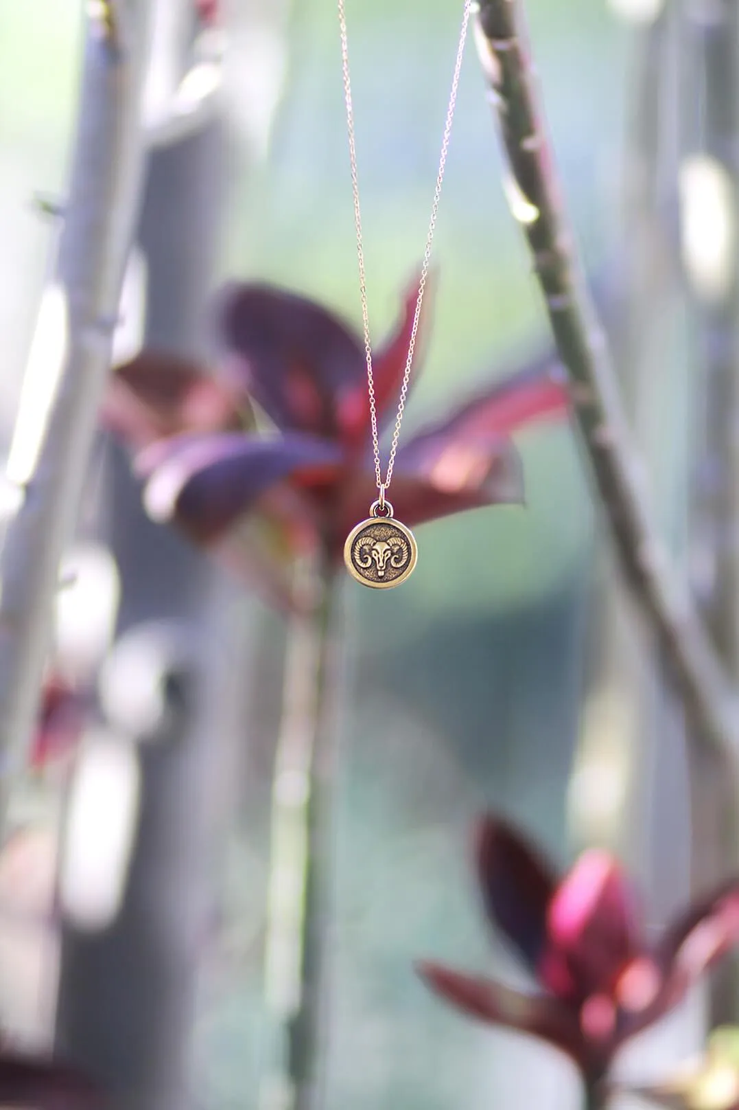Zodiac Double-Sided Charm Necklace