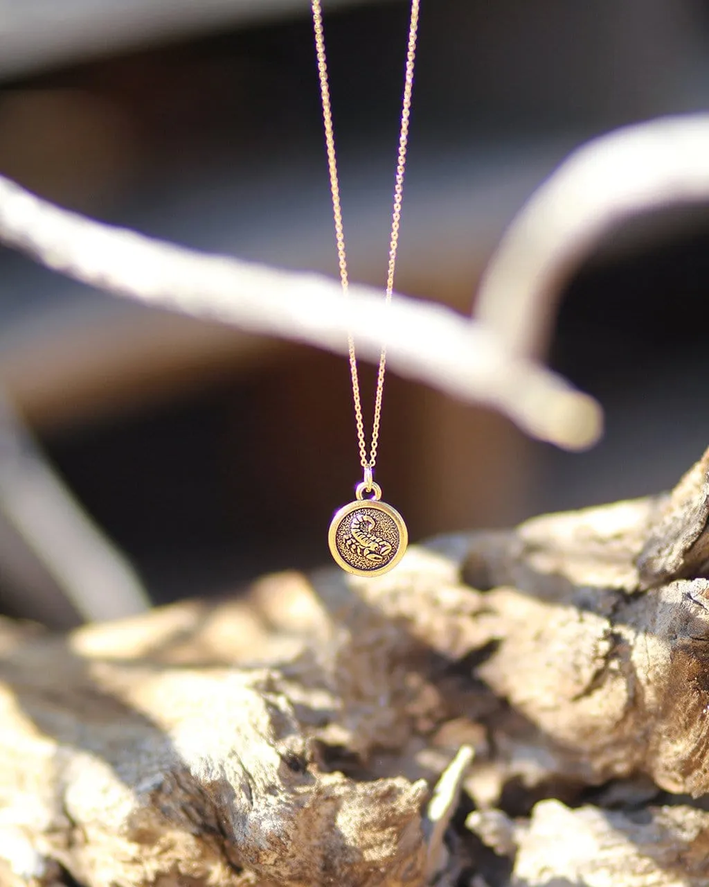Zodiac Double-Sided Charm Necklace